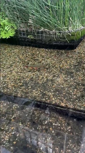 ✨ Discovering the Barbican: London’s Hidden Gem ✨