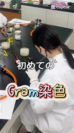 初めてのGram染色⭐️臨床検査技師科#専門学校 #検査技師学生 #臨床検査技師 #西野学園 #実習
