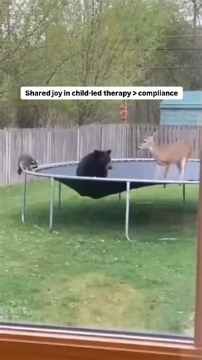 Alexandria Zachos | Echolalia and Child Led Therapy on Instagram: "It’s all about connection and shared joy ❤️ That’s why child-led therapy is so important when supporting gestalt language processors (children who communicate with delayed echolalia). The excitement we feel as professionals experiencing that shared joy with our clients is everything! Video remix from: @blueridgebreakingnews Want to learn more about child-led therapy and echolalia? 👇🏼 💙 Learn more in our free 54-minute mastercl