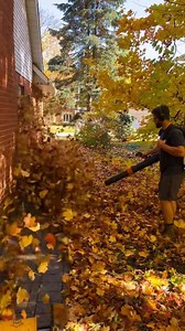 Crisp Edges = Instant Curb Appeal