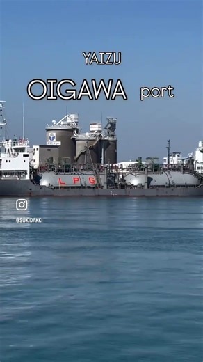 大井川港で釣り #焼津市大井川港 #釣り