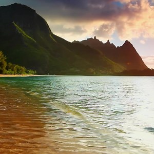 269 reactions · 31 shares | Paradise is just a click away with sweet vanilla and buttery macadamia nut Kauai Coffee® in your Walmart cart. | Kauai Coffee Company | Facebook