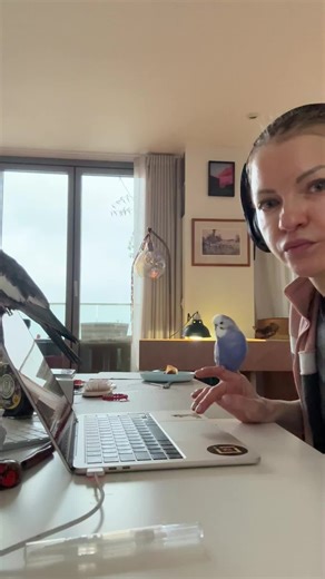 Marina Smith (@marinasmith__)’s videos with again: we see ourselves in the end of everything - Porreria