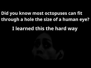 Actually Good (?) Two Sentence Horror Stories (2)