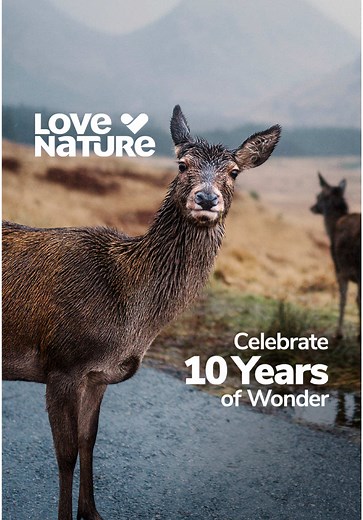 Celebrate 10 Years of Love Nature in 4K