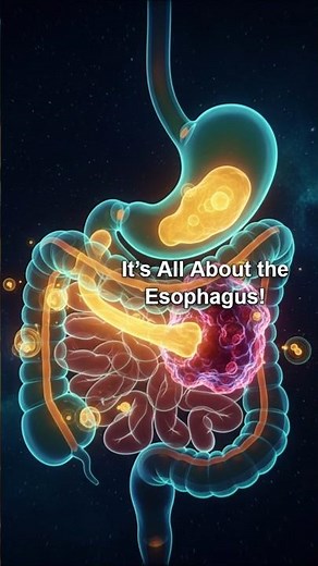 WHY FOOD GET STUCK # DONT IGNORE !!!
