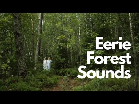 Creepy Sounds from the Woods | Eerie Forest Ambiance for Halloween and Spooky Vibes