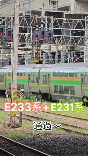 E233系3000番台.U-627編成+E231系1000番台.S-02編成が湘南新宿ライン.横須賀線直通.普通.逗子行きとして小山〜小金井間を減速しながら通過するシーン‼️