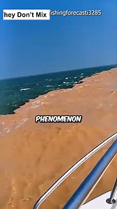 17K views · 243 reactions | Bizarre Ocean Phenomena!!-Compilation #facts #Amazing #science #ocean #trivia | BERN.ph | Facebook
