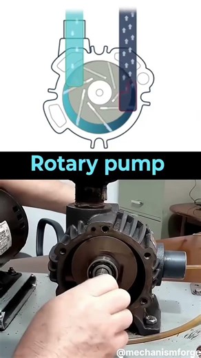 How a Rotary Vane Pump Works! 💧 (3D vs. Real) #shorts