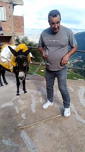 90K views · 1.2K reactions | 15 on Reels | Facebook