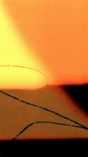 🏆 Learn from the Master: Sudhir Kove, the Pioneer of Wristwatch Analysis! With 15 years of teaching experience and revolutionary concepts, Sudhir Kove is here to help you transform your life through wristwatch analysis. In this 1-day workshop, you’ll learn: ✅ The science behind wristwatch analysis and its impact on life. ✅ How to interpret wristwatches for insights into personality and decisions. ✅ Methods to help others boost productivity, manage time, and grow financially. 💡 Why Learn Wristw