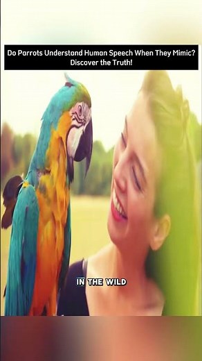 Do Parrots Understand Human Speech When They Mimic? Discover the Truth!