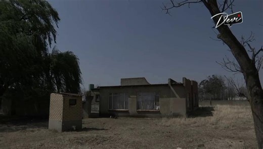 7.8K views · 98 reactions | Missed #Devi #Sunday? We've got you!...