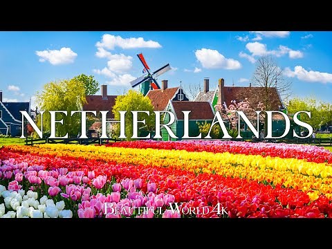Netherlands 4K - Stunning Tulip Fields and Spring Blooms in Full Glory - Peaceful Piano Music