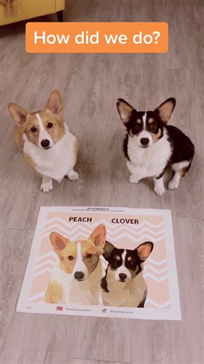 Corgi Painting Adventure: Fun with Colors!