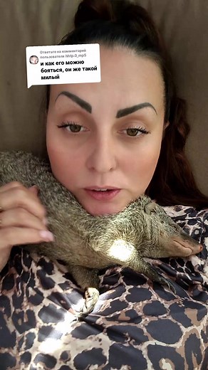 Ответ пользователю @hhtp.0_mp5 #мангустшкода