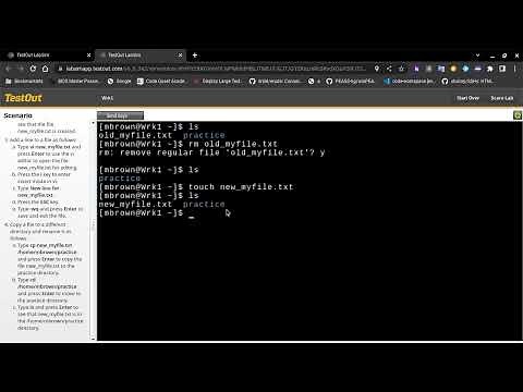 TestOut LabSim using Linux Shell Commands