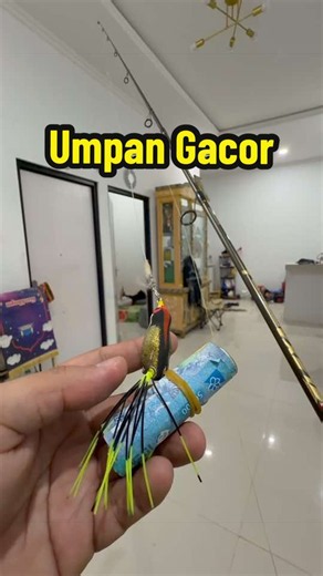 Umpan soft frog gacor untuk casting gabus dan toman