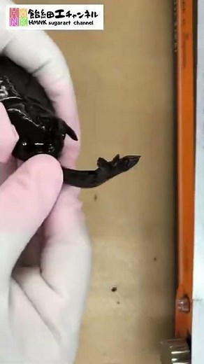 夏の主役あの黒い生き物をついに食べる