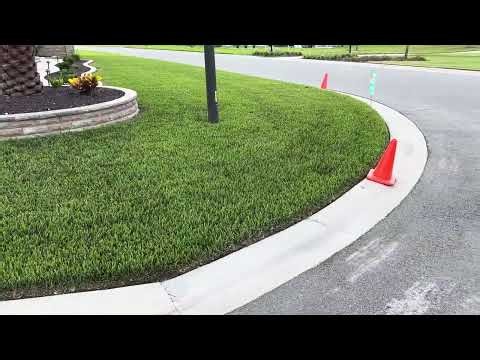 Disease running wild in Saint Augustine grass in Central Florida ￼