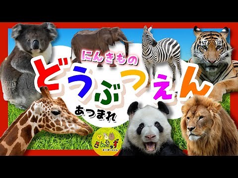 【子供向け どうぶつアニメ】動物園に行こう！☆パンダ キリン ライオンなどどうぶつえんで人気の動物が14種類登場するよ！｜うごく動物ずかんで動物の名前を覚えよう◎ 【子供が喜ぶ 動物の知育動画】