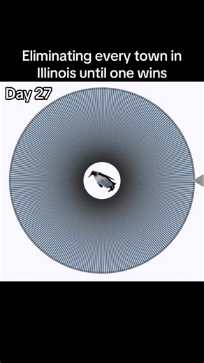 Big day for Illinois #illinoischeck #illinoiselimination #2026 #illinoisfyp #viralvideo