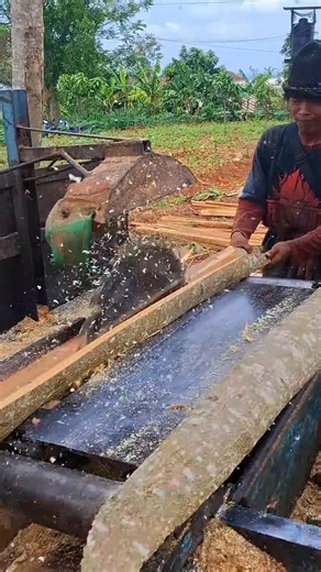 Operator Central java !! #gergajiserkel #kayuakasia | Suwarni Warni