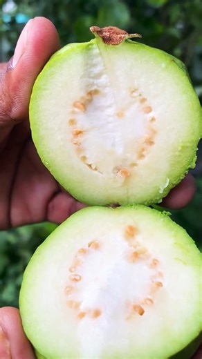 “You won't believe the taste inside a guava!”