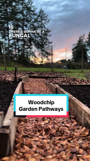 Wood chip garden pathways! #garden #gardening #gardentok #woodchips #gardenpath #mycelium #smallfarm