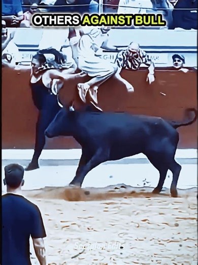 Normal Bullfighting VS Last One..💀
