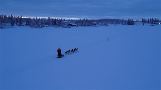 Brent Sass is first into Tolsona Checkpoint. This drone footage is made possible by your ongoing support. Copper Basin 300 Sled Dog Race #mushinglife Wild and Free Mushing drone capture by handler Tarek Pohlenz Check www.cb300.com for all the info you need. Follow the mushers by GPS at https://trackleaders.com/copper24 Day #1 2024 Copper Basin 300 Start List 1. Tim Taylor Honorary Musher Jan 2023 (purchase a CB300 tin cup with proceeds going to Tim’s partner) 2. Daniel Klein 3. Jacob Witkop 4. H