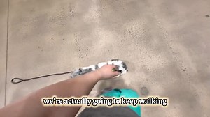 Fernando the previously crazy havapoo that couldn’t even sit at Dropoff is now off leash walking, staying and recalling in Lowe’s the day before he goes home! They all get there! | Julie's K9 Academy - Dog Training