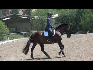 Training Level Test 2