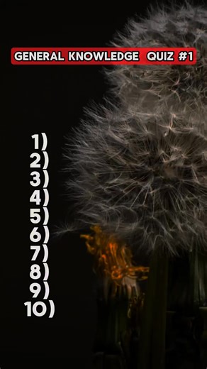 11K views · 249 reactions | GENERAL KNOWLEDGE QUIZ #1 | quizmaster923 | Facebook