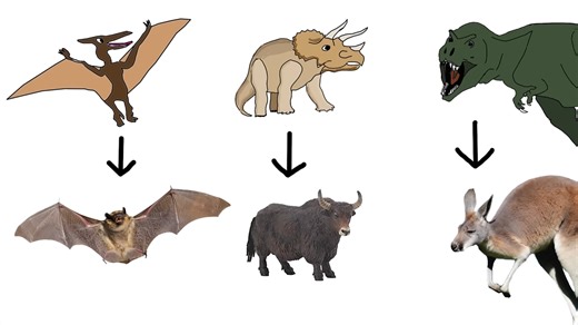 The heated argument over whether dinosaurs belong in today’s ecosystems