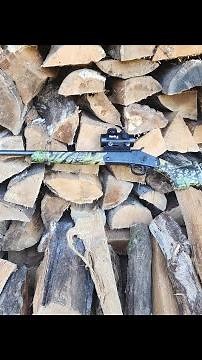 Savage Steven's model Model 301 .410 Turkey Gun Review