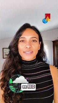 Base de Datos Local vs Base de Datos en Red