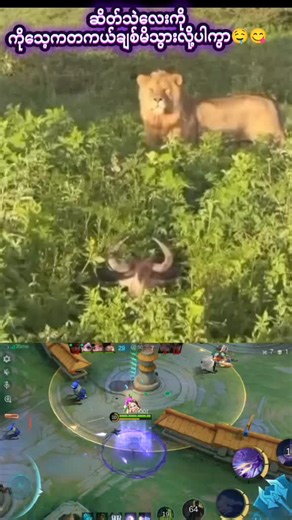 pyae pyae บน TikTok