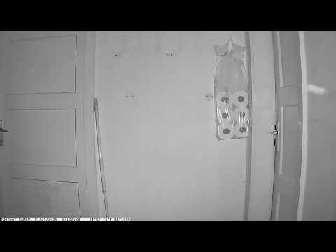 Kameratest Indoor Denver WCT 8016 Wildcam 2025