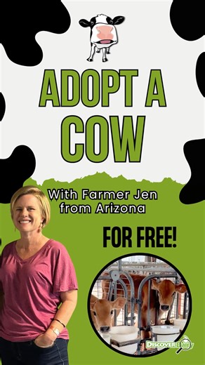👋Meet Farmer Jen from Arizona! Check out some of the calves on her dairy farm that you could “adopt” through our Adopt a Cow program this school year. Enroll in the FREE program by September 15th. You and your students will enjoy photo updates and activities all year long to learn about how cows grow and the milk they produce! 🐮 Adopt a cow today: www.discoverdairy.com/adopt | Discover Dairy
