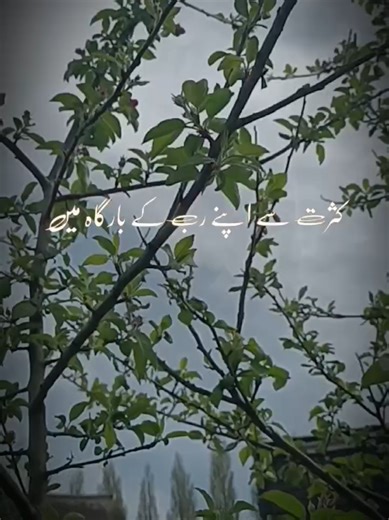 Exploring Hadith in Islam: Teachings of the Prophet