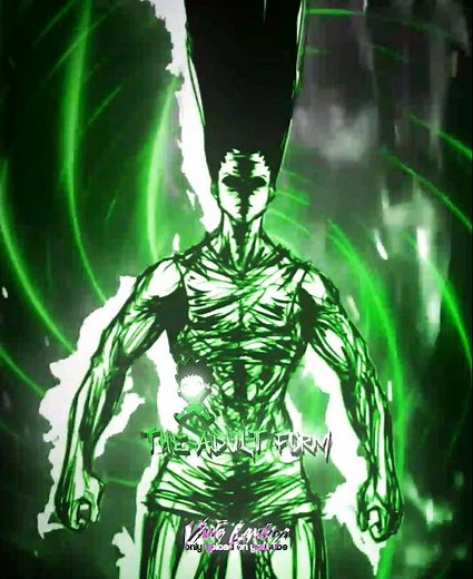 The Adult Form 🗿😏 || [BLEACH] [HxH] #manga #edit