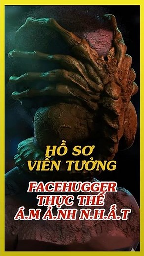 Decoding Facehugger: The Most Terrifying Phenomenon in the Alien Universe
