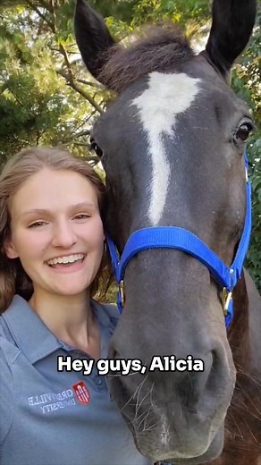 Did you know about the new Equine Program at Greenville University? | Greenville University