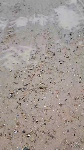 9.7K views · 25 reactions | We are open for practice today Sunday 28th April..10till 3.30..track conditions are ok.. | WildTracks Mx | Facebook