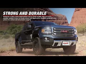 RS5000X Loaded Strut Assembly | Rancho Suspension