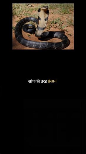 Kya Aap Ek Saanp Hain? 🐍 | Amazing Facts About Human Skin | #HumanBodyFacts