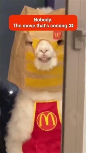 Best Movers in New Jersey — Stress-Free Moving with Vector Moving