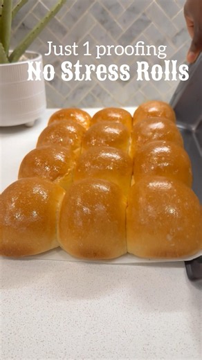 Quick Dinner rolls for your family , just 1 proofing